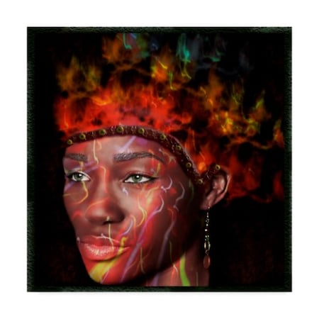 Dana Brett Munach 'Fire Princess' Canvas Art,24x24